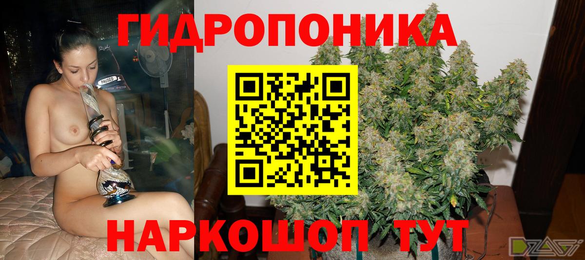 Тюмень  Каннабис Ganja  Каннабис Amnesia  Вход с VPN  Каннабис конопля 